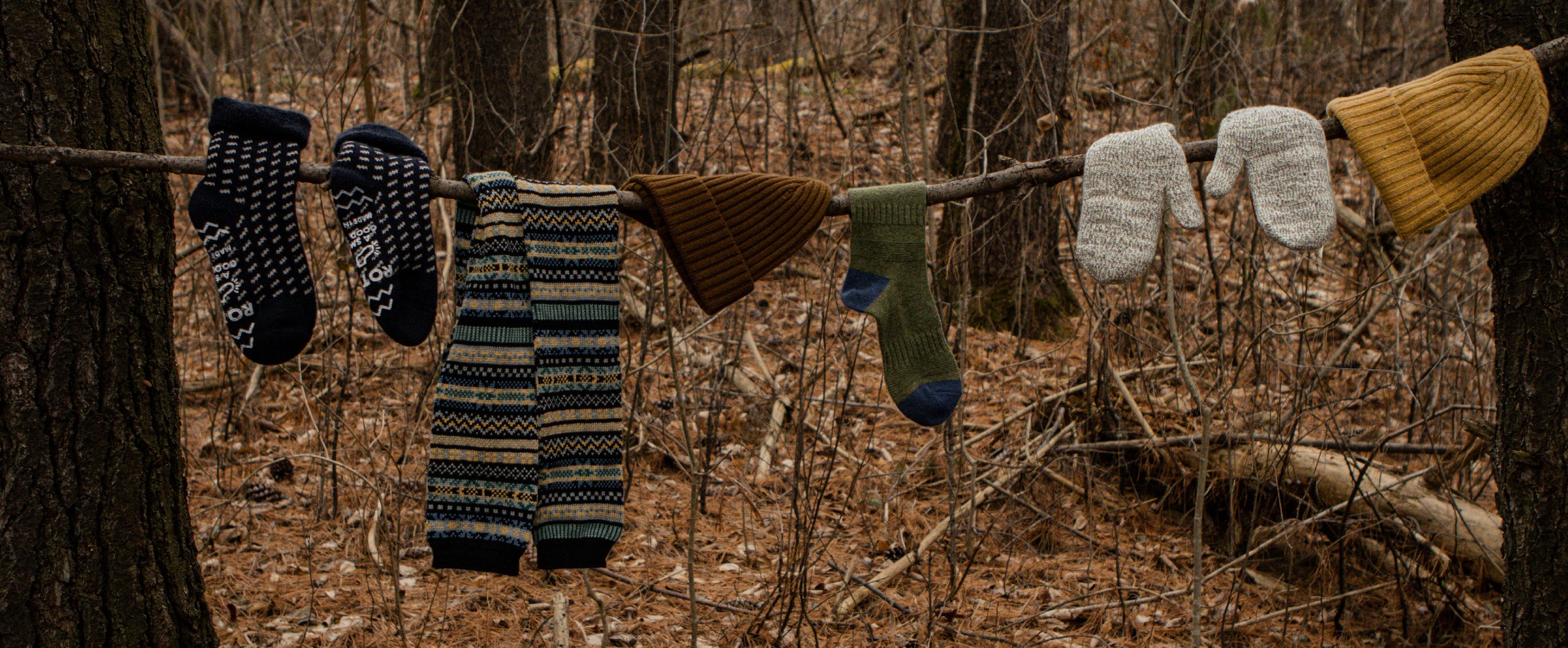 A row of winter clothing—socks, hats, mittens, and leg warmers—hangs on a branch between trees in a forest with brown leaves covering the ground.