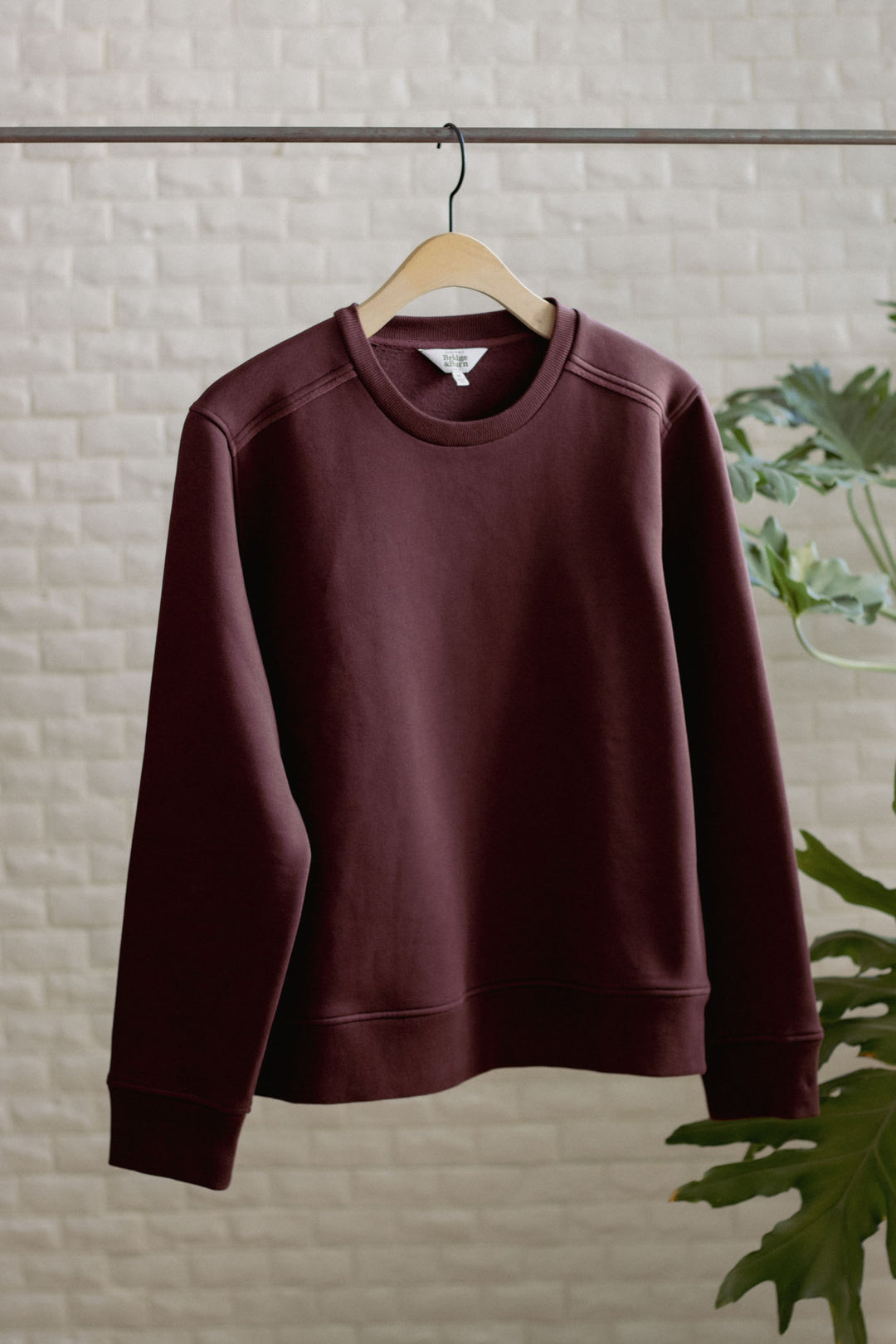 The Bailey Crew Sweatshirt in Burgundy by Bridge & Burn hangs on a wooden hanger from a metal rod, with a light textured wall and green leafy plant partially visible in the background.