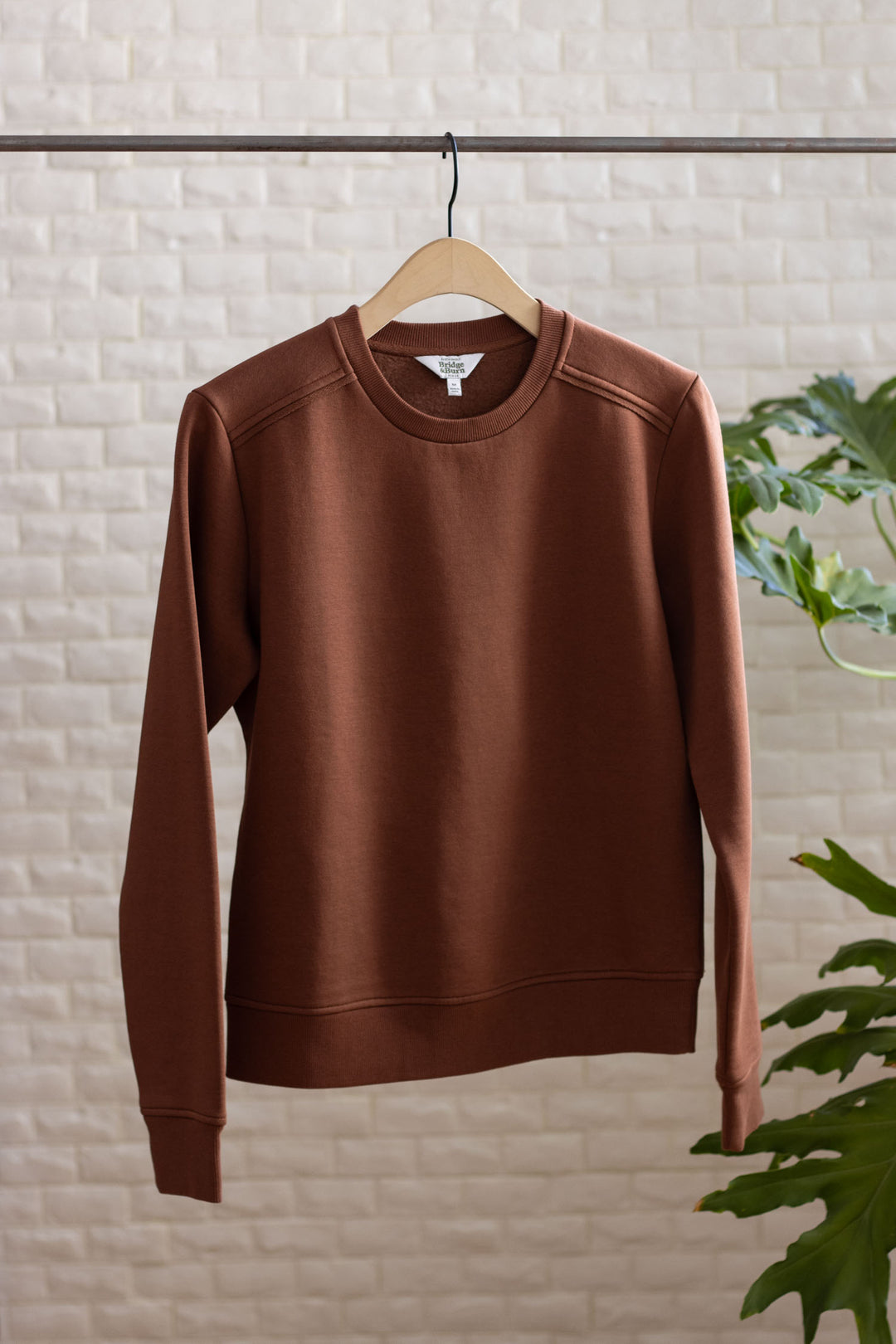 The Bailey Crew Sweatshirt in Burnt Umber by Bridge & Burn hangs on a wooden hanger against a white textured wall, with green leafy plants partially visible at the sides.