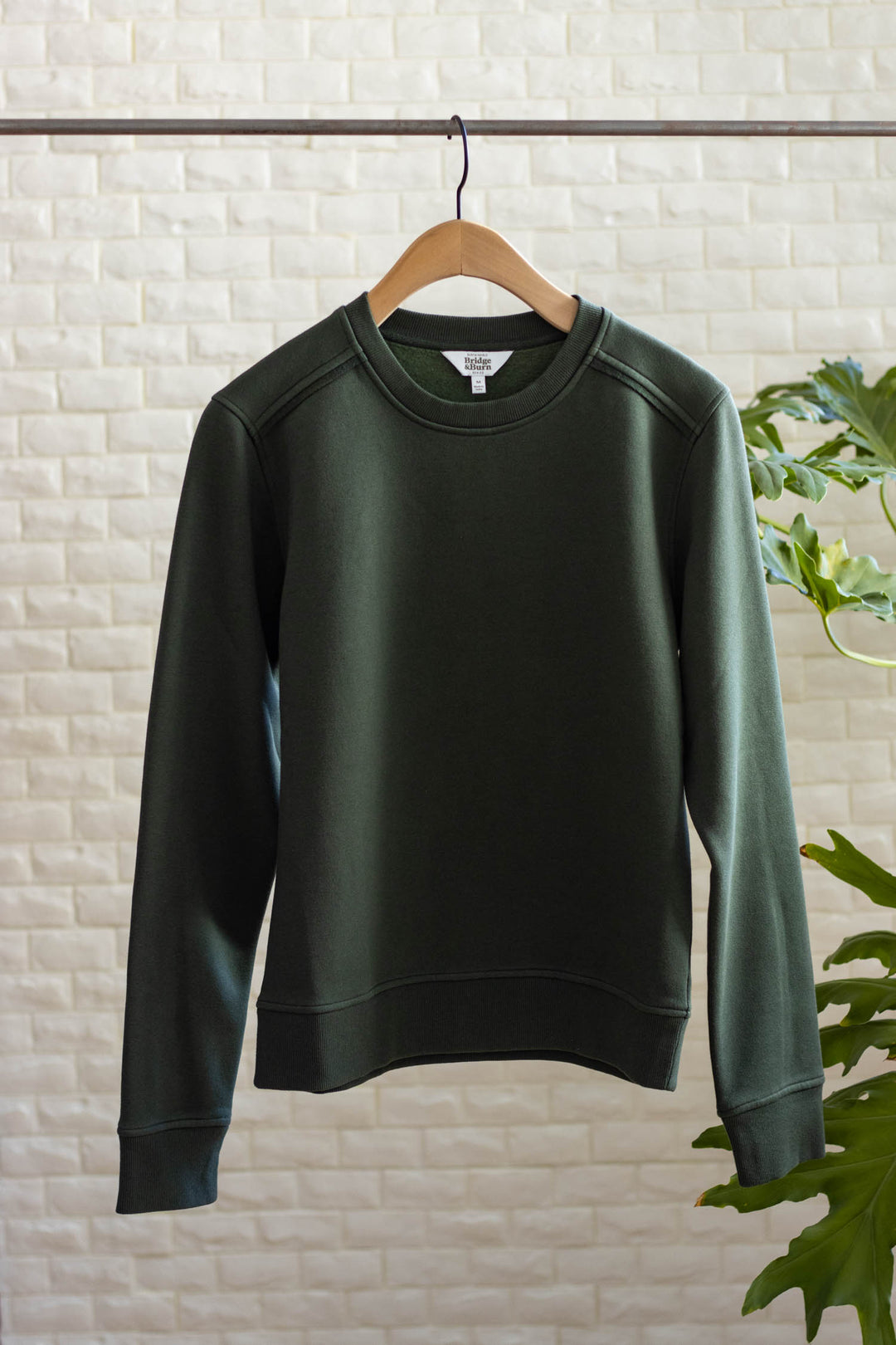 The Bridge & Burn Bailey Crew Sweatshirt in Forest Night hangs on a wooden hanger against a white textured wall, with green leafy plants partly visible on the right.