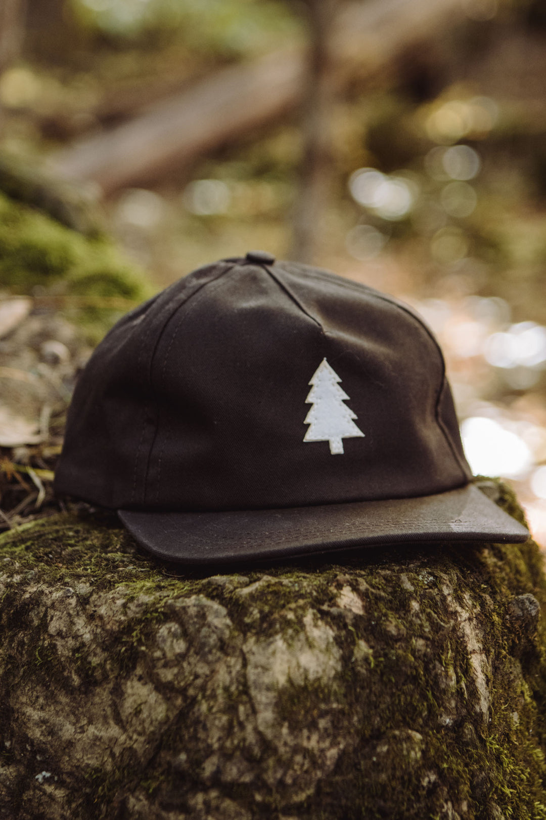 The Bridge & Burn Tree Cap in Espresso, featuring a white pine tree emblem and leather strap, rests on a mossy rock in a forest setting.